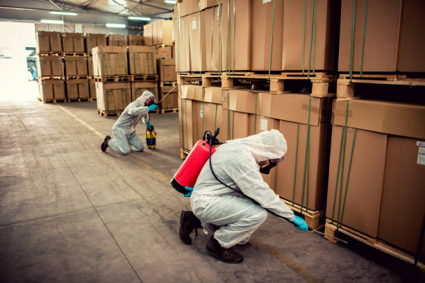Best Best Pest Control Companies  in Middle Island, NY