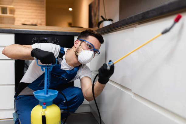 Best Exterminator Services  in Middle Island, NY
