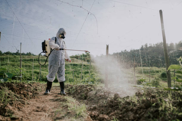 Best Best Pest Control Companies  in Middle Island, NY