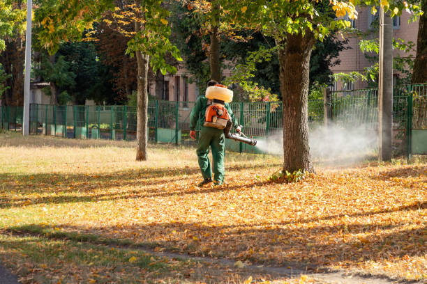 Best Pest Control for Homes  in Middle Island, NY